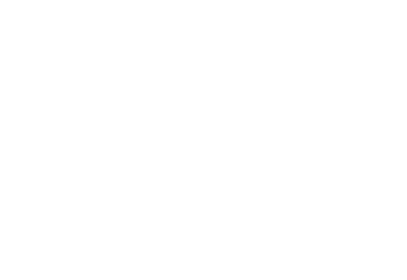 IBO News